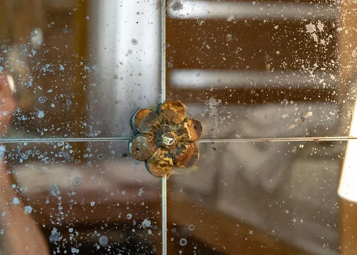 Cianis شقة البندقية